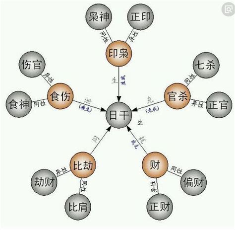 財官印比食|八字科學論命8